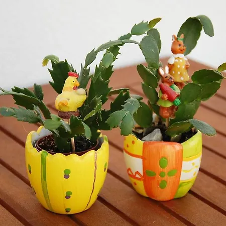 Apartament Charming Old Stone House