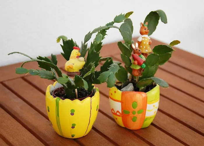 Apartamento Charming Old Stone House